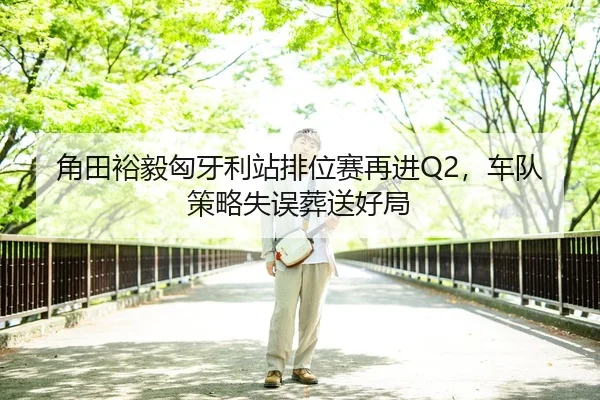 角田裕毅匈牙利站排位赛再进Q2，车队策略失误葬送好局