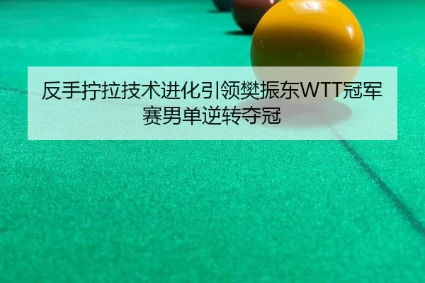 fan-shou-ning-la-ji-shu-jin-hua-yin-ling-fan-zhen-dong-guan-jun-sai-nan-dan-ni-zhuan-duo-guan-3-178.jpg